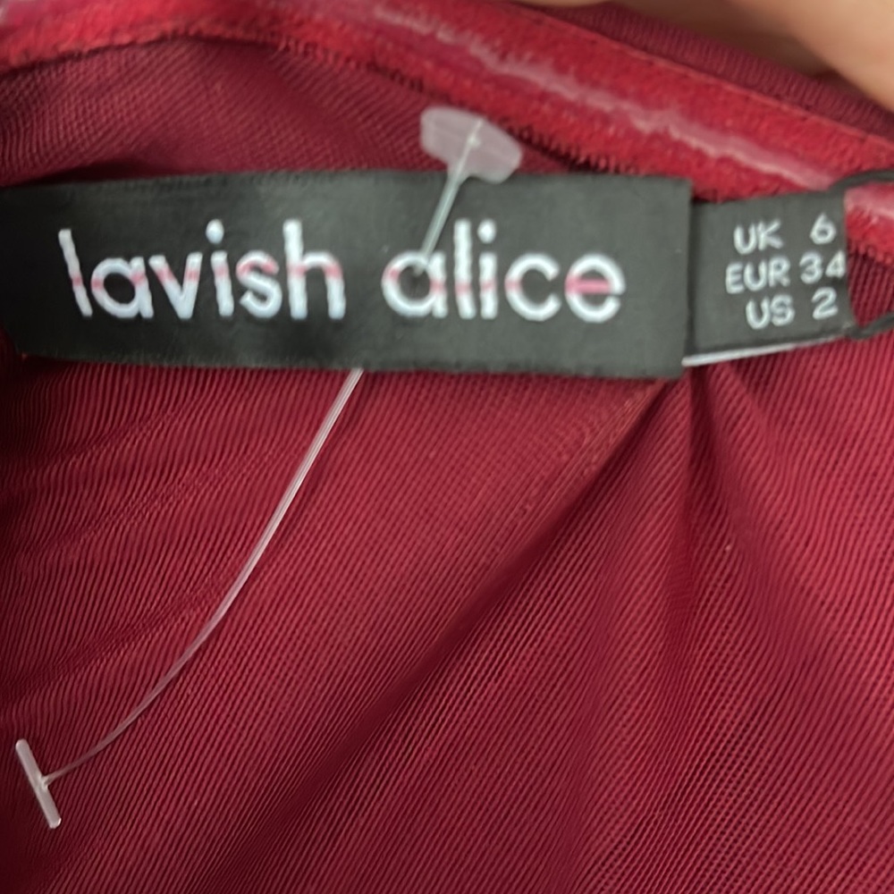 Lavish Alice Mesh Corset Dress Burgundy - Picture 6 of 6